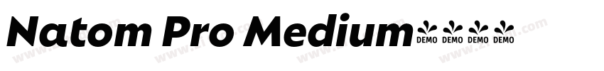 Natom Pro Medium字体转换